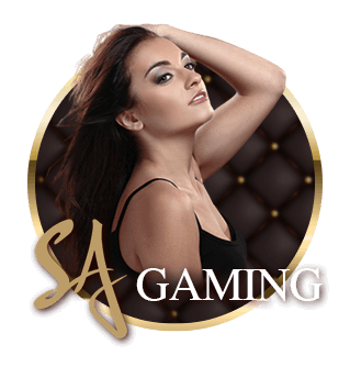 SA evolution gaming เว็บตรง